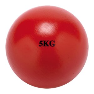 Stootkogel Gietijzer 5 kg-0