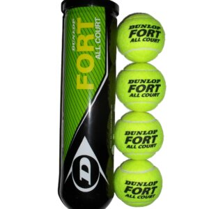 Tennisbal Dunlop Fort All Court-0