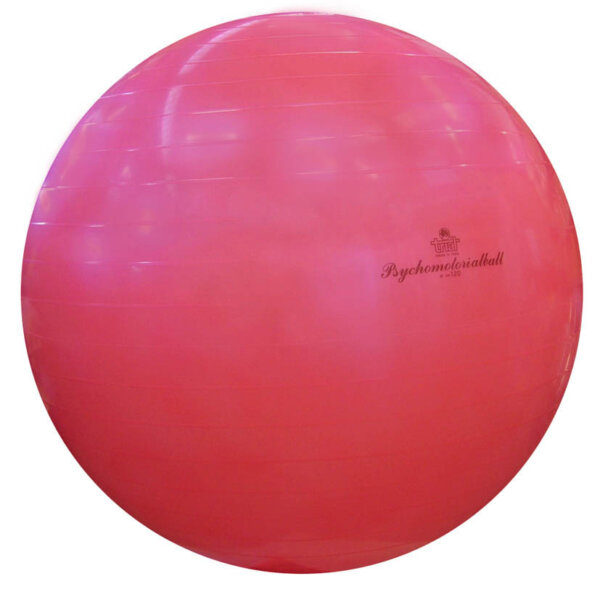 Fysiobal Trial V18-0