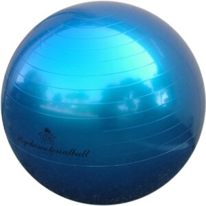 Fysiobal Trial V16-0