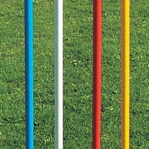 Trainingspaal Barret met Punt - Diverse kleuren-0