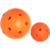 Rinkelbal Goalball-0