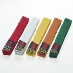 Judoband Essimo wit 280 cm-0