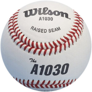 Honkbal Wilson A1030B leer 9" wit-0
