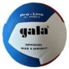 Volleybal Gala Pro-line BV5586S-0