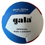 Volleybal Gala Pro-line BV5586S-0
