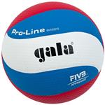 Volleybal Gala Pro-line 5591S10-0