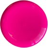 Frisbee Professioneel School - Afbeelding 2
