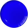 Frisbee Professioneel School