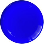 Frisbee Professioneel School