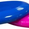 Frisbee Professioneel School - Afbeelding 4