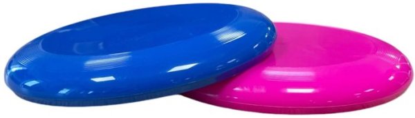 Frisbee Professioneel School - Afbeelding 4