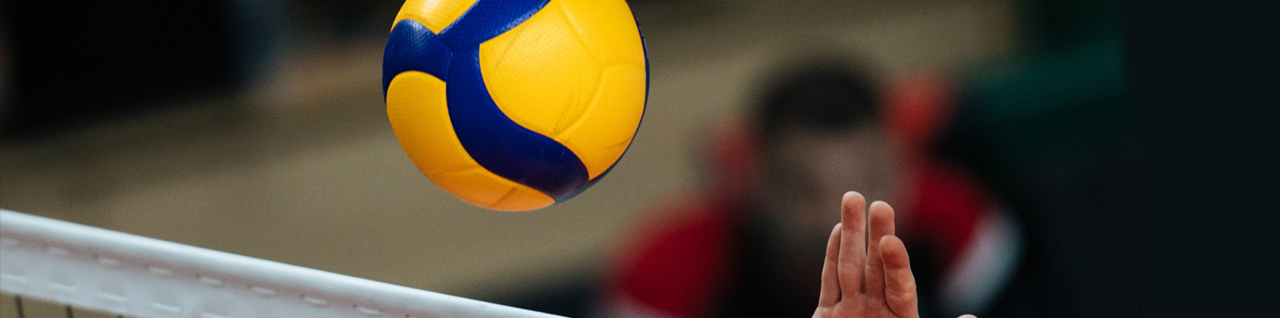 Volleybal